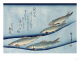 Rivertrout', from the Series 'Collection of Fish' reproduction procédé giclée par Ando Hiroshige