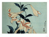 Lis reproduction procédé giclée par Hashiguchi Goyo