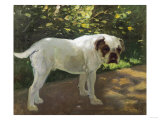 A Bulldog on a Garden Path Giclee Print by Cecil Aldin