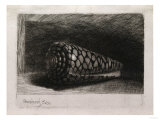 The Shell (Conus Marmoreus), Engraving and Drypoint on Paper, 1650 Giclee-trykk av Filipo Or Frederico Bartolini
