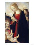 The Holy Family with the Infant St. John the Baptist reproduction procédé giclée par Jan Brueghel the Elder
