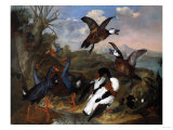 Shell Ducks and Other Fowl in a Landscape, 1720 Giclée-Druck von George Wesley Bellows