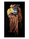 A Kwakiutl Thunderbird Mask, Red Cedar Giclee Print