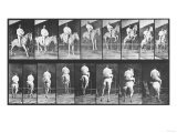 Selected Motion Studies, 1887 Giclee Print by Edward S. Curtis Selected Motion Studies, 1887 Giclee Print by Edward S. Curtis