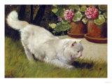 A White Persian Cat with a Ladybird Wydruk giclee autor Cecil Aldin