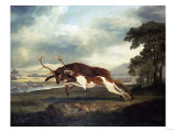 A Hound Attacking a Stag, 1769 reproduction procédé giclée par Herri Met De Bles