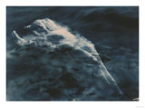 Aphrodite (In Water), 1920-1925 Lámina giclée por Edward S. Curtis