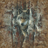 Woodland Spirit Poster av Collin Bogle Woodland Spirit Poster av Collin Bogle