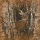 Birchwood Buck Posters av Collin Bogle Birchwood Buck Posters av Collin Bogle