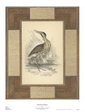 Marshland Bittern Affiches par Alastair Reynolds