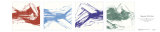 Signature Series Pósters por Jerry Sic