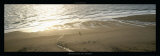Grande Plage de Carteret Affiches par Laurent Pinsard