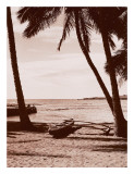 Hawaiian Outrigger Canoe Poster
