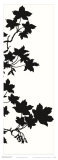Maple Silhouette III Art by Judy Shelby