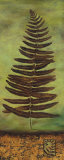 Fern for Thought II Póster por Lisa Audit