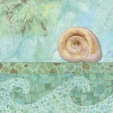 Spa Shells IV Posters