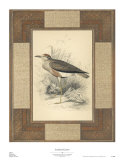 Lowland Courier Print by Alastair Reynolds