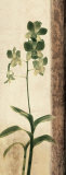 Dreamweaver II Affiches par Chris Donovan