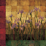 Iris Garden Poster by Marcia Wells