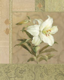 Lys d'été Art par Danhui Nai