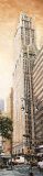 The Woolworth Building Kunstdrucke von Matthew Daniels