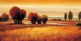 Goldene Reflektionen I Kunstdrucke von Gregory Williams