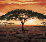 Masai Tree Prints by Madou 