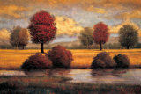 Serene II Posters af Gregory Williams