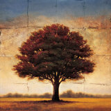 Splendor I Prints by Gregory Williams
