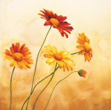Brezza sulle Margherite Posters by Maria Grazia Luffarelli