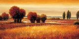 Golden Reflections I Prints by Gregory Williams