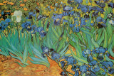 Lirios Foto por Vincent van Gogh Lirios Foto por Vincent van Gogh
