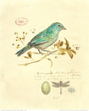 Chad Barrett - Gilded Songbird I - Art Print Chad Barrett - Gilded Songbird I - Art Print