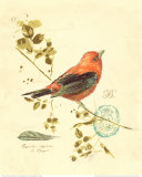 Gilded Songbird III Posters por Chad Barrett