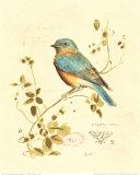 Gilded Songbird IV Póster por Chad Barrett