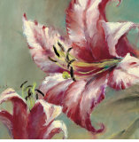 Lirio en flor Posters por Brent Heighton