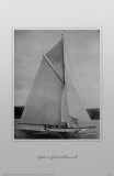 Lipton's Yacht Shamrock Masterprint