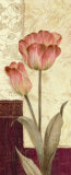 Quattro Sonata I Affiches par Pamela Gladding