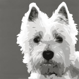 Terrier des Highlands de l'Ouest Affiches par Emily Burrowes