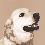 Golden retriever Posters par Emily Burrowes