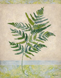 Gossamer III Print by Amelia Worrall