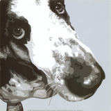 Bassett Hound Plakater av Emily Burrowes