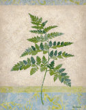 Gossamer IV Prints by Amelia Worrall