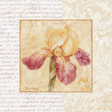 Le Jardin III Posters by Pamela Gladding