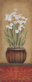 Paperwhites I Art