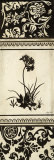 Garden Shadow I Poster von Kimberly Poloson