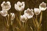 Baroque Tulips Prints by Ives Mccoll