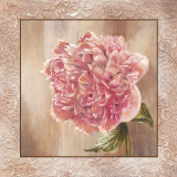 Pivoines II Láminas por Selina Werbelow