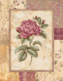 Provence Rose I Lámina por Pamela Gladding