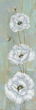 Florentine Poppies Prints by Paul Brent
